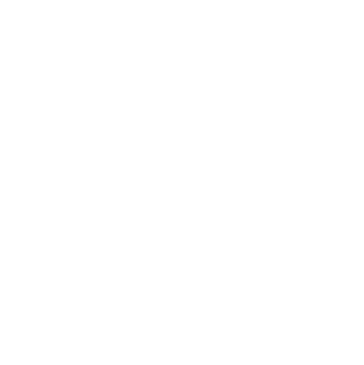Blue Plate Restaurant Company