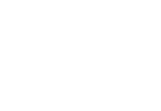 Auto Enginuity